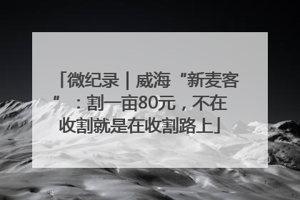 微纪录｜威海“新麦客”：割一亩80元，不在收割就是在收割路上