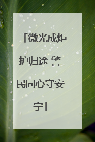 微光成炬护归途 警民同心守安宁