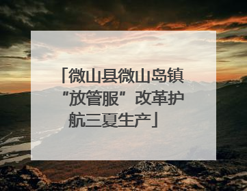 微山县微山岛镇“放管服”改革护航三夏生产