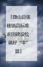 微山县张楼镇高标准农田建设绘就好“丰”景