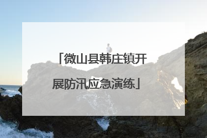 微山县韩庄镇开展防汛应急演练