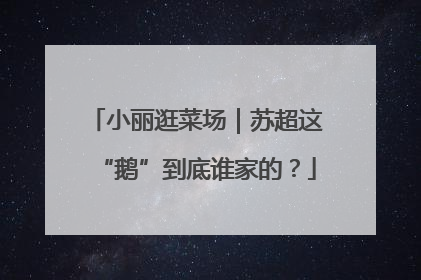 小丽逛菜场｜苏超这“鹅”到底谁家的？