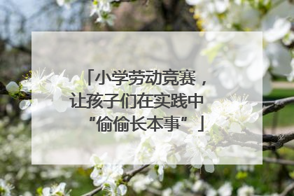 小学劳动竞赛，让孩子们在实践中“偷偷长本事”