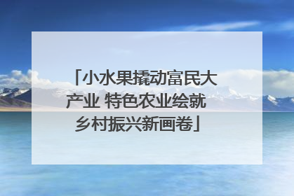 小水果撬动富民大产业 特色农业绘就乡村振兴新画卷