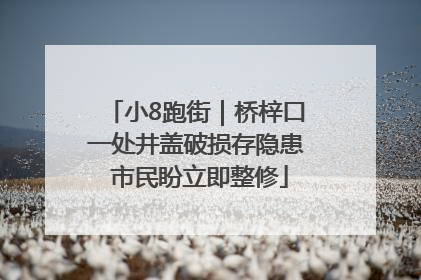 小8跑街｜桥梓口一处井盖破损存隐患 市民盼立即整修