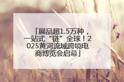 展品超1.5万种，一站式“链”全球！2025黄河流域跨境电商博览会启幕