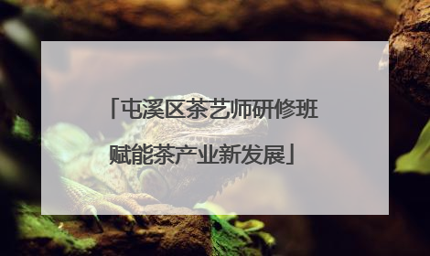 屯溪区茶艺师研修班赋能茶产业新发展