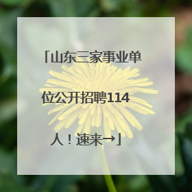 山东三家事业单位公开招聘114人！速来→