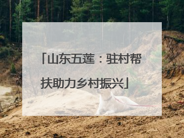 山东五莲：驻村帮扶助力乡村振兴