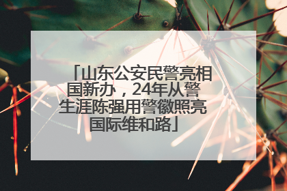山东公安民警亮相国新办，24年从警生涯陈强用警徽照亮国际维和路