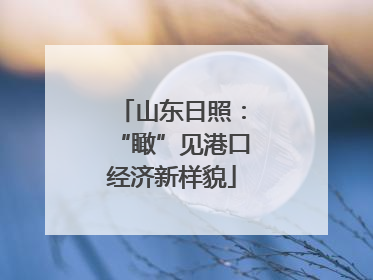 山东日照：“瞰”见港口经济新样貌