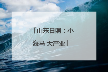 山东日照：小海马 大产业