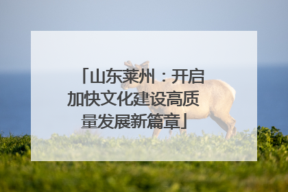山东莱州：开启加快文化建设高质量发展新篇章