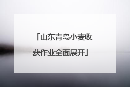 山东青岛小麦收获作业全面展开