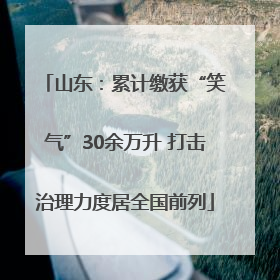 山东：累计缴获“笑气”30余万升 打击治理力度居全国前列