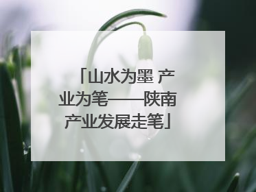 山水为墨 产业为笔——陕南产业发展走笔
