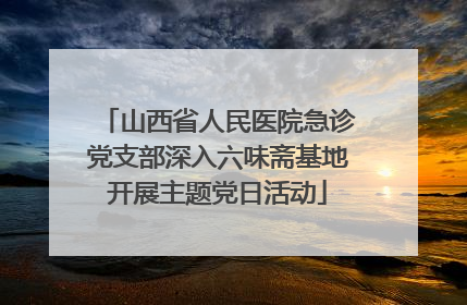 山西省人民医院急诊党支部深入六味斋基地开展主题党日活动