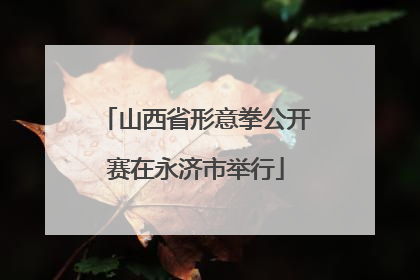 山西省形意拳公开赛在永济市举行