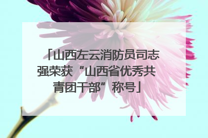 山西左云消防员司志强荣获“山西省优秀共青团干部”称号