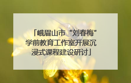 峨眉山市“刘春梅”学前教育工作室开展沉浸式课程建设研讨
