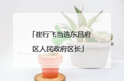 崔行飞当选东昌府区人民政府区长