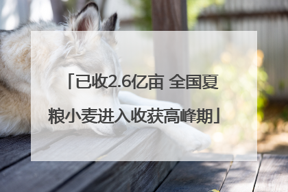 已收2.6亿亩 全国夏粮小麦进入收获高峰期