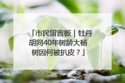 市民留言板｜牡丹胡同40年树龄大杨树因何被扒皮？