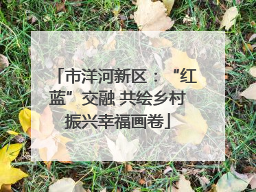 市洋河新区：“红蓝”交融 共绘乡村振兴幸福画卷