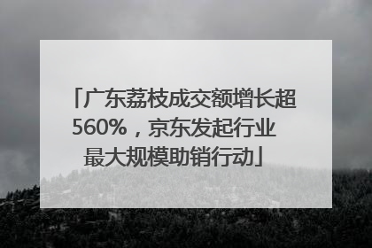 广东荔枝成交额增长超560%，京东发起行业最大规模助销行动