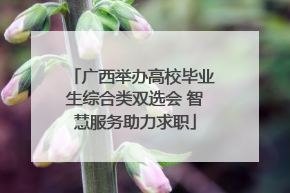 广西举办高校毕业生综合类双选会 智慧服务助力求职