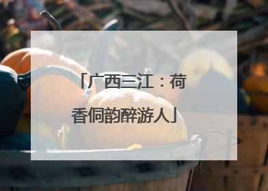 广西三江：荷香侗韵醉游人