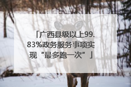 广西县级以上99.83%政务服务事项实现“最多跑一次”