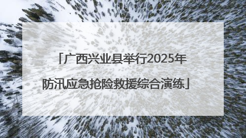 广西兴业县举行2025年防汛应急抢险救援综合演练