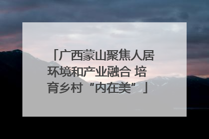 广西蒙山聚焦人居环境和产业融合 培育乡村“内在美”
