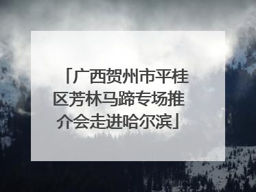 广西贺州市平桂区芳林马蹄专场推介会走进哈尔滨