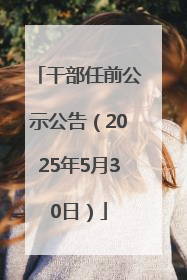 干部任前公示公告（2025年5月30日）