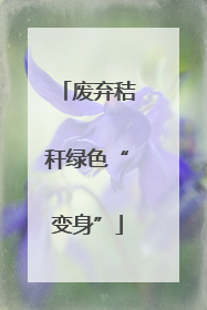 废弃秸秆绿色“变身”