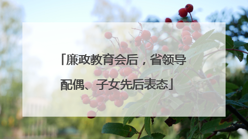 廉政教育会后，省领导配偶、子女先后表态