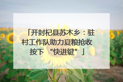 开封杞县苏木乡：驻村工作队助力夏粮抢收按下 “快进键”