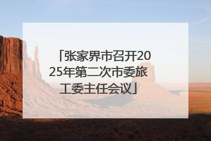 张家界市召开2025年第二次市委旅工委主任会议