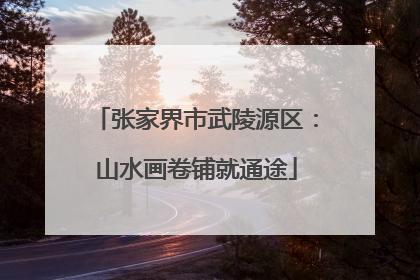 张家界市武陵源区：山水画卷铺就通途