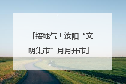 接地气！汝阳“文明集市”月月开市