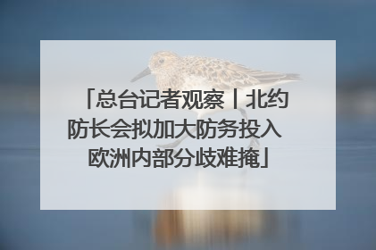 总台记者观察丨北约防长会拟加大防务投入 欧洲内部分歧难掩