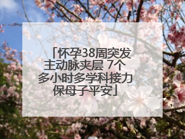 怀孕38周突发主动脉夹层 7个多小时多学科接力保母子平安