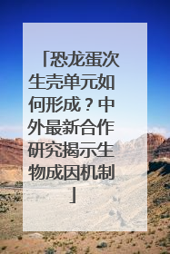 恐龙蛋次生壳单元如何形成？中外最新合作研究揭示生物成因机制