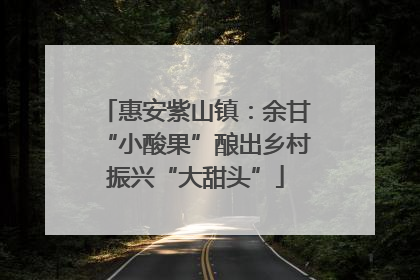 惠安紫山镇：余甘“小酸果”酿出乡村振兴“大甜头”