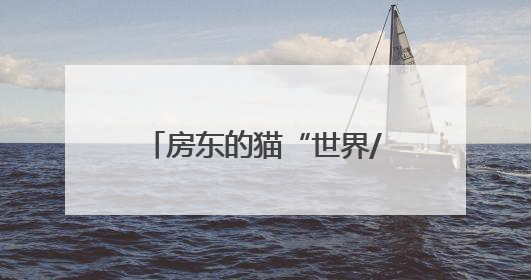 房东的猫“世界/青年”演唱会济南站来了！济南公交开通6条歌迷定制专线