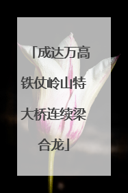 成达万高铁仗岭山特大桥连续梁合龙