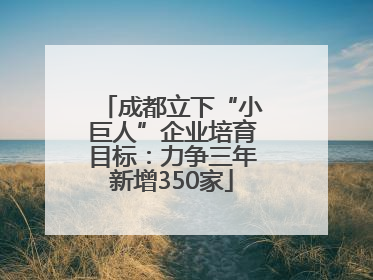 成都立下“小巨人”企业培育目标：力争三年新增350家
