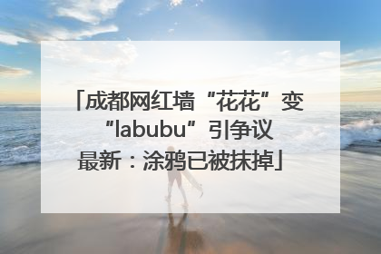 成都网红墙“花花”变“labubu”引争议 最新：涂鸦已被抹掉